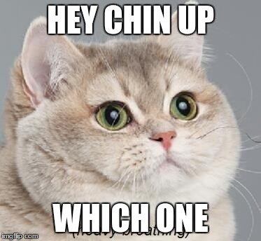 Heavy Breathing Cat Meme | HEY CHIN UP; WHICH ONE | image tagged in memes,heavy breathing cat | made w/ Imgflip meme maker