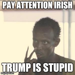 Look At Me Meme | PAY ATTENTION IRISH; TRUMP IS STUPID | image tagged in memes,look at me | made w/ Imgflip meme maker