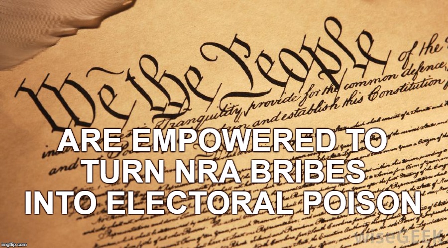 Vote the Pimps Out |  ARE EMPOWERED TO TURN NRA BRIBES INTO ELECTORAL POISON | image tagged in nra,pimps,gun violence | made w/ Imgflip meme maker