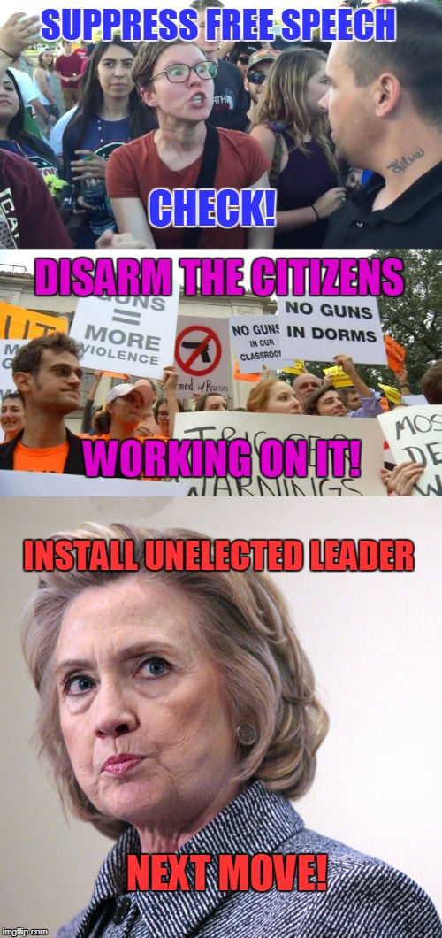 1945 Germany or 2018 USA? So confused.... | SUPPRESS FREE SPEECH; CHECK! DISARM THE CITIZENS; WORKING ON IT! INSTALL UNELECTED LEADER; NEXT MOVE! | image tagged in socialism,fascism,1945 germany,2018 usa,democrats | made w/ Imgflip meme maker