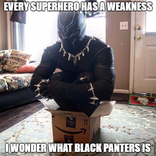 black panter in a box | EVERY SUPERHERO HAS A WEAKNESS; I WONDER WHAT BLACK PANTERS IS | image tagged in black panter,cat box humor,superhero humor | made w/ Imgflip meme maker