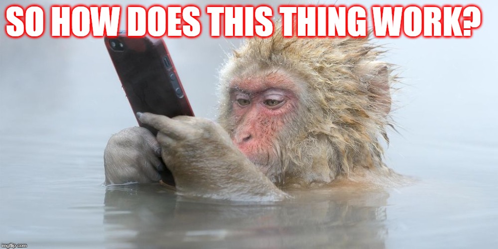 Ipod Snowmonkey | SO HOW DOES THIS THING WORK? | image tagged in ipod snowmonkey | made w/ Imgflip meme maker