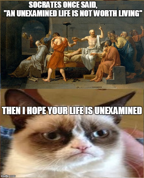 Grumpy Cat | SOCRATES ONCE SAID,              "AN UNEXAMINED LIFE IS NOT WORTH LIVING"; THEN I HOPE YOUR LIFE IS UNEXAMINED | image tagged in memes,grumpy cat | made w/ Imgflip meme maker