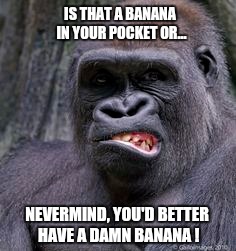 Better be a banana | IS THAT A BANANA IN YOUR POCKET OR... NEVERMIND, YOU'D BETTER HAVE A DAMN BANANA ! | image tagged in memes,gorilla,banana,bad joke,unforgiven,well nevermind | made w/ Imgflip meme maker