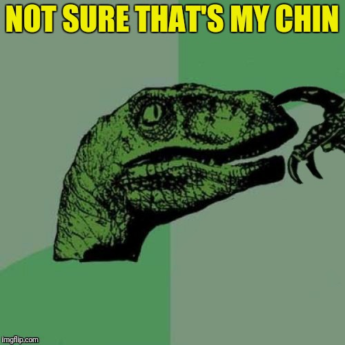 NOT SURE THAT'S MY CHIN | made w/ Imgflip meme maker