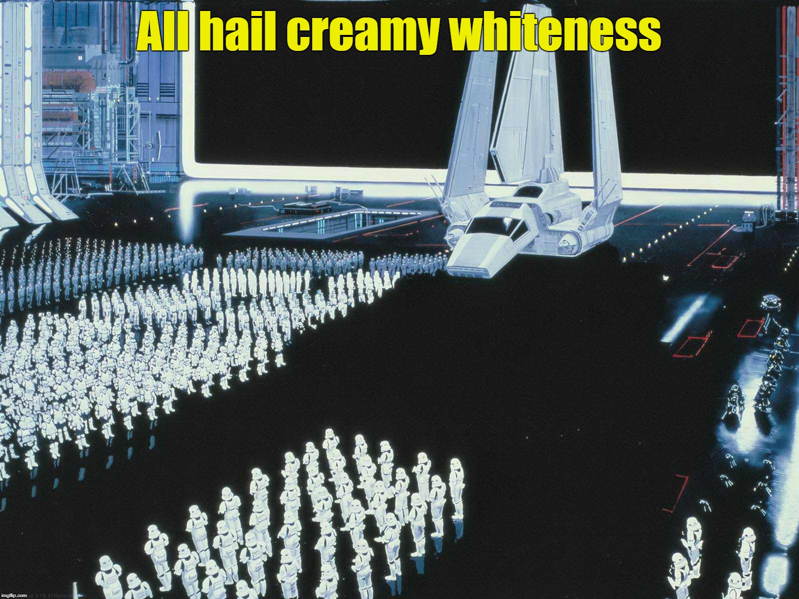 All hail creamy whiteness | All hail creamy whiteness | image tagged in star wars,the empire,shock troops | made w/ Imgflip meme maker