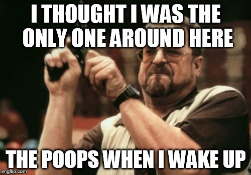 Am I The Only One Around Here Meme | I THOUGHT I WAS THE ONLY ONE AROUND HERE THE POOPS WHEN I WAKE UP | image tagged in memes,am i the only one around here | made w/ Imgflip meme maker