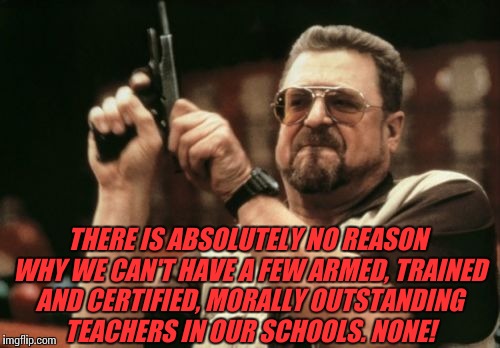 Am I The Only One Around Here | THERE IS ABSOLUTELY NO REASON WHY WE CAN'T HAVE A FEW ARMED, TRAINED AND CERTIFIED, MORALLY OUTSTANDING TEACHERS IN OUR SCHOOLS. NONE! | image tagged in memes,am i the only one around here | made w/ Imgflip meme maker