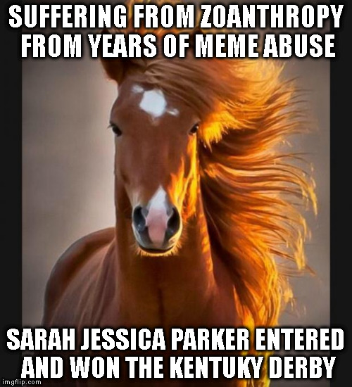 Horse | SUFFERING FROM ZOANTHROPY FROM YEARS OF MEME ABUSE; SARAH JESSICA PARKER ENTERED AND WON THE KENTUKY DERBY | image tagged in horse | made w/ Imgflip meme maker