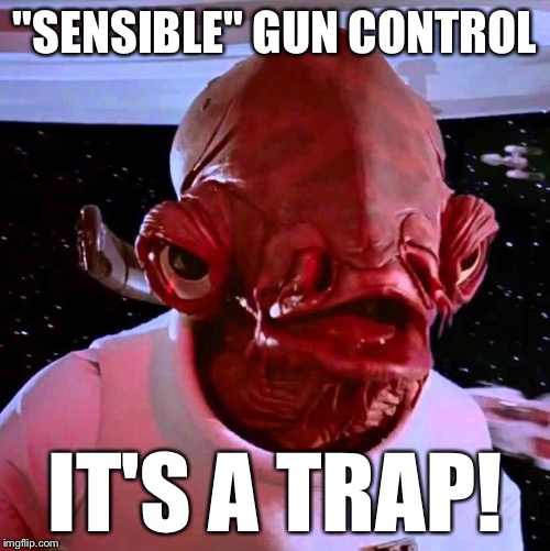 It's a trap! | "SENSIBLE" GUN CONTROL; IT'S A TRAP! | image tagged in its a trap,gun control | made w/ Imgflip meme maker