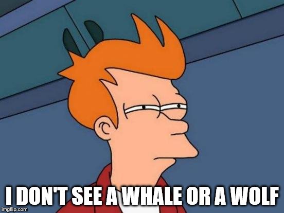 Futurama Fry Meme | I DON'T SEE A WHALE OR A WOLF | image tagged in memes,futurama fry | made w/ Imgflip meme maker