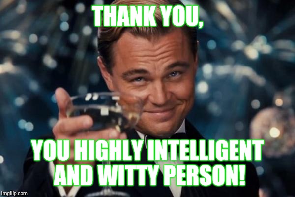 Leonardo Dicaprio Cheers Meme | THANK YOU, YOU HIGHLY INTELLIGENT AND WITTY PERSON! | image tagged in memes,leonardo dicaprio cheers | made w/ Imgflip meme maker