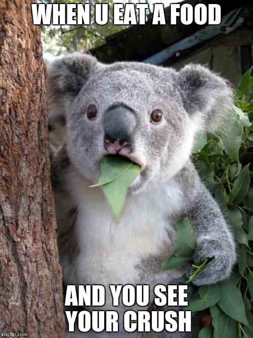 Surprised Koala | WHEN U EAT A FOOD; AND YOU SEE YOUR CRUSH | image tagged in memes,surprised koala | made w/ Imgflip meme maker