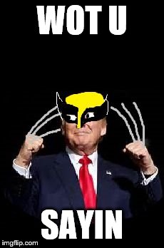 Trump just in case | WOT U SAYIN | image tagged in trump just in case | made w/ Imgflip meme maker