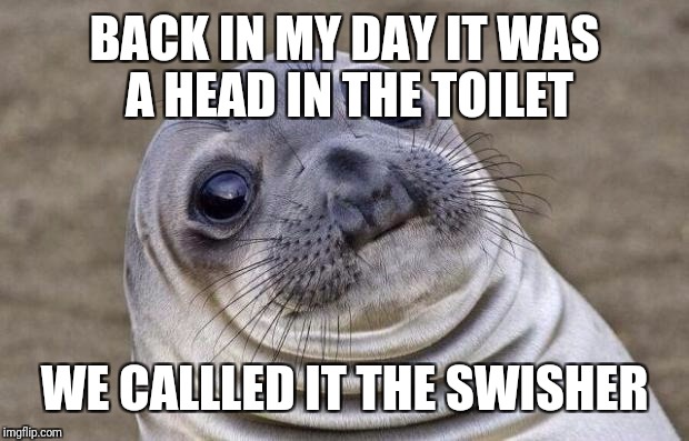 Awkward Moment Sealion Meme | BACK IN MY DAY IT WAS A HEAD IN THE TOILET WE CALLLED IT THE SWISHER | image tagged in memes,awkward moment sealion | made w/ Imgflip meme maker