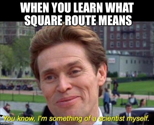 You know, I'm something of a scientist myself | WHEN YOU LEARN WHAT SQUARE ROUTE MEANS | image tagged in you know i'm something of a scientist myself | made w/ Imgflip meme maker