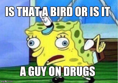 Mocking Spongebob | IS THAT A BIRD OR IS IT; A GUY ON DRUGS | image tagged in memes,mocking spongebob | made w/ Imgflip meme maker