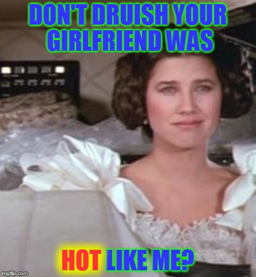 DON'T DRUISH YOUR GIRLFRIEND WAS HOT LIKE ME? HOT | made w/ Imgflip meme maker