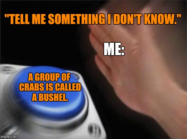 Blank Nut Button Meme |  "TELL ME SOMETHING I DON'T KNOW."; ME:; A GROUP OF CRABS IS CALLED A BUSHEL. | image tagged in memes,blank nut button | made w/ Imgflip meme maker