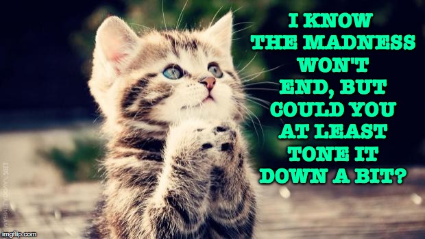 Oh, and I'm hungry. | I KNOW THE MADNESS WON'T END, BUT COULD YOU AT LEAST TONE IT DOWN A BIT? | image tagged in praying cat,memes,stop the madness | made w/ Imgflip meme maker