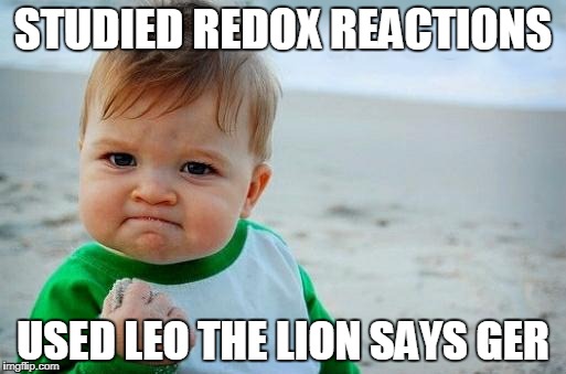 Yes Baby | STUDIED REDOX REACTIONS; USED LEO THE LION SAYS GER | image tagged in yes baby | made w/ Imgflip meme maker