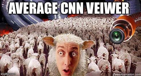 Sheepl | AVERAGE CNN VEIWER | image tagged in sheepl | made w/ Imgflip meme maker