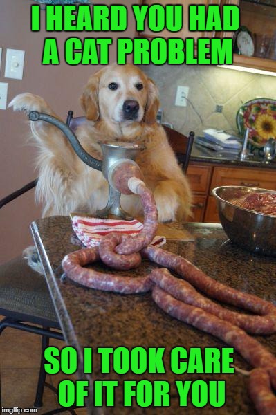 Sausages you will love 9 times better than the rest!!! | I HEARD YOU HAD A CAT PROBLEM; SO I TOOK CARE OF IT FOR YOU | image tagged in dog sausages,memes,dogs,funny,cats,animals | made w/ Imgflip meme maker