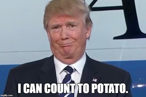donald trump |  I CAN COUNT TO POTATO. | image tagged in donald trump | made w/ Imgflip meme maker
