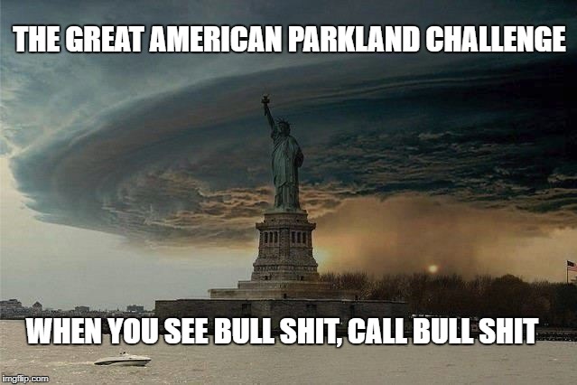 Make this different |  THE GREAT AMERICAN PARKLAND CHALLENGE; WHEN YOU SEE BULL SHIT, CALL BULL SHIT | image tagged in guns,pimps,bs | made w/ Imgflip meme maker