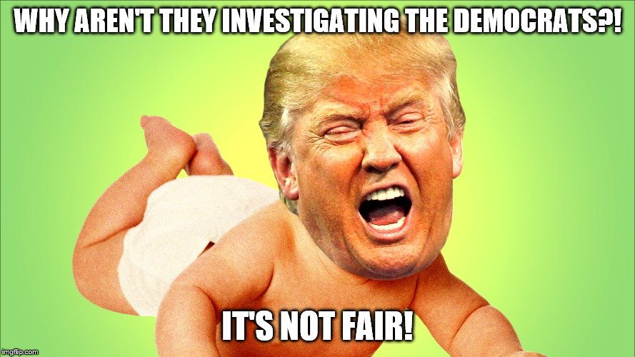 Cry Baby Trump "Why Aren't They Investigating the Democrats" | WHY AREN'T THEY INVESTIGATING THE DEMOCRATS?! IT'S NOT FAIR! | image tagged in cry baby trump,trump is a wimpbag,investigating dems,it's not fair | made w/ Imgflip meme maker