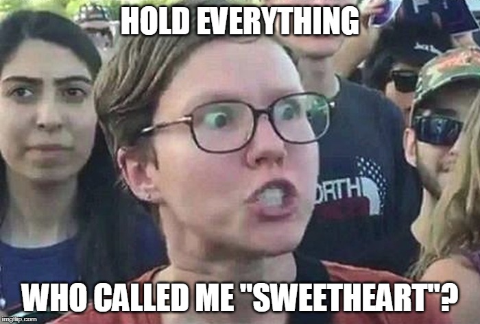 Triggered Liberal | HOLD EVERYTHING; WHO CALLED ME "SWEETHEART"? | image tagged in triggered liberal,political correctness | made w/ Imgflip meme maker