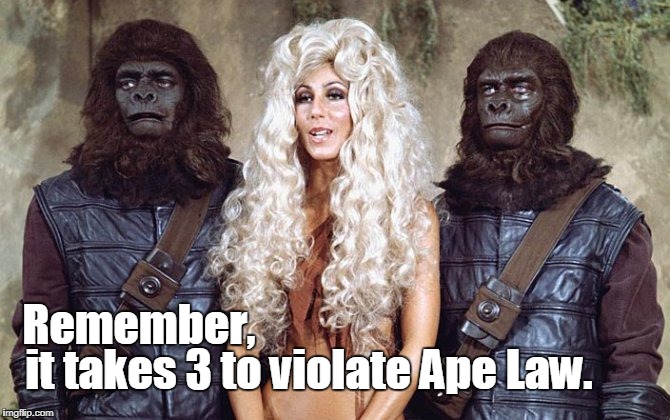 It takes 3 | it takes 3 to violate Ape Law. Remember, | image tagged in planet of the apes,funny | made w/ Imgflip meme maker