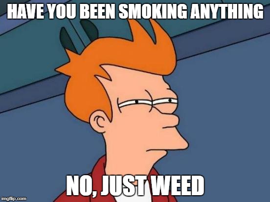 Futurama Fry Meme | HAVE YOU BEEN SMOKING ANYTHING; NO, JUST WEED | image tagged in memes,futurama fry | made w/ Imgflip meme maker