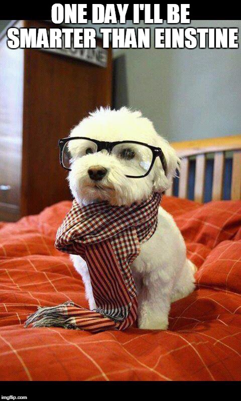 Intelligent Dog | ONE DAY I'LL BE SMARTER THAN EINSTINE | image tagged in memes,intelligent dog | made w/ Imgflip meme maker