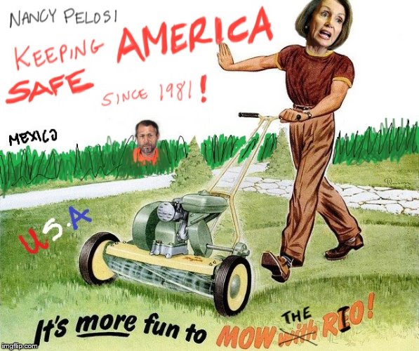 image tagged in pelosi lawn mower | made w/ Imgflip meme maker