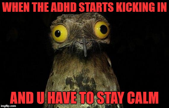 Weird Stuff I Do Potoo Meme | WHEN THE ADHD STARTS KICKING IN; AND U HAVE TO STAY CALM | image tagged in memes,weird stuff i do potoo | made w/ Imgflip meme maker