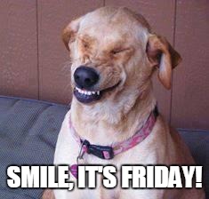 funny dog | SMILE, IT'S FRIDAY! | image tagged in funny dog | made w/ Imgflip meme maker