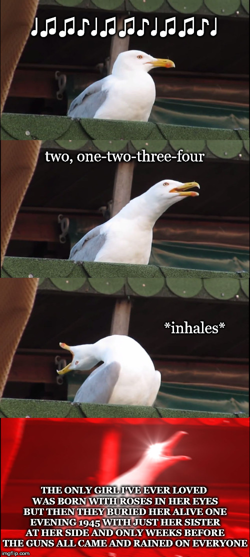 Inhaling Seagull | ♩♫♫♪♩♫♫♪♩♫♫♪♩; two, one-two-three-four; *inhales*; THE ONLY GIRL I'VE EVER LOVED WAS BORN WITH ROSES IN HER EYES BUT THEN THEY BURIED HER ALIVE ONE EVENING 1945 WITH JUST HER SISTER AT HER SIDE AND ONLY WEEKS BEFORE THE GUNS ALL CAME AND RAINED ON EVERYONE | image tagged in memes,inhaling seagull | made w/ Imgflip meme maker