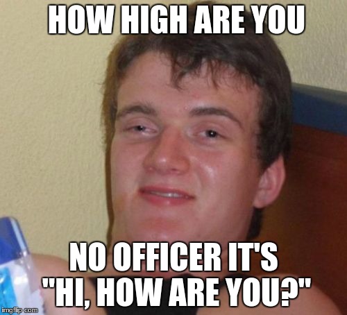 10 Guy | HOW HIGH ARE YOU; NO OFFICER IT'S "HI, HOW ARE YOU?" | image tagged in memes,10 guy | made w/ Imgflip meme maker