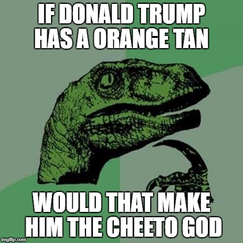 All hail btw i dont support trump
 | IF DONALD TRUMP HAS A ORANGE TAN; WOULD THAT MAKE HIM THE CHEETO GOD | image tagged in memes,philosoraptor | made w/ Imgflip meme maker