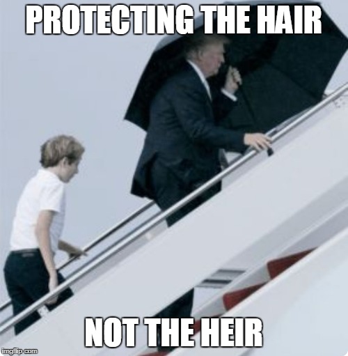 PROTECTING THE HAIR; NOT THE HEIR | image tagged in trump,hair,umbrella,barron trump | made w/ Imgflip meme maker