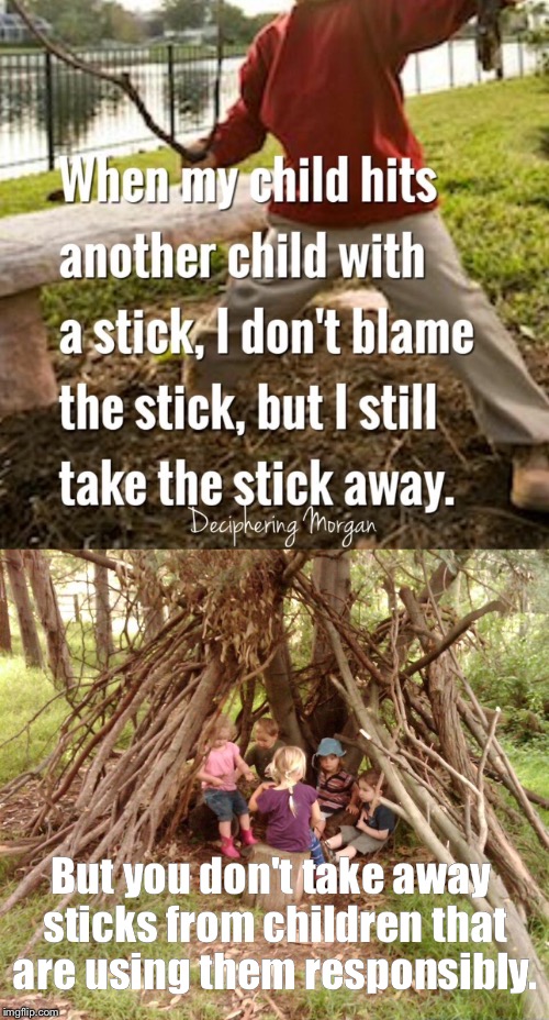 One of these things is not like the other. |  But you don't take away sticks from children that are using them responsibly. | image tagged in gun control,stick,kids playing,liberal logic,gun rights | made w/ Imgflip meme maker