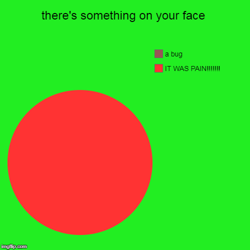 there's something on your face | IT WAS PAIN!!!!!!!, a bug | image tagged in funny,pie charts | made w/ Imgflip chart maker