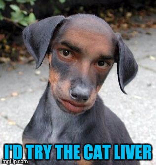 Dog Human | I'D TRY THE CAT LIVER | image tagged in dog human | made w/ Imgflip meme maker