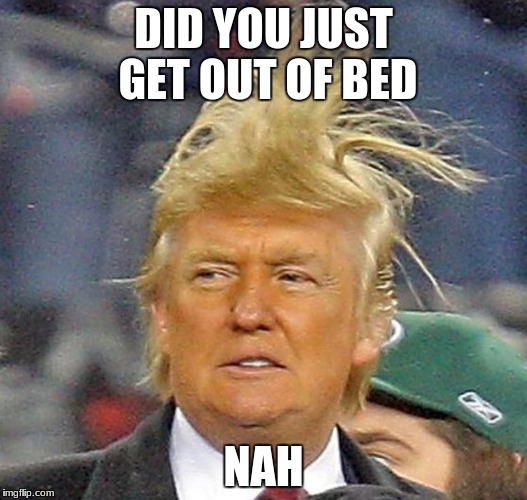 trump hair | DID YOU JUST GET OUT OF BED; NAH | image tagged in donald trump hair | made w/ Imgflip meme maker