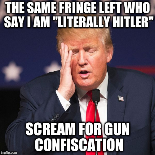 THE SAME FRINGE LEFT WHO SAY I AM "LITERALLY HITLER"; SCREAM FOR GUN CONFISCATION | made w/ Imgflip meme maker