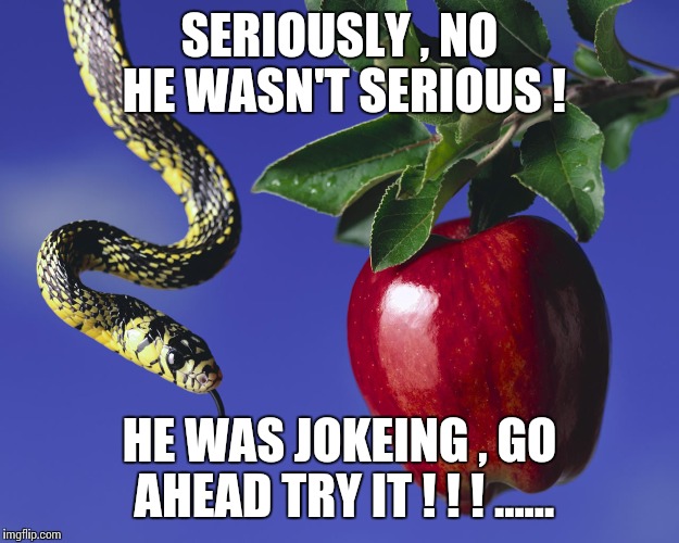 Serpent & The Apple | SERIOUSLY , NO HE WASN'T SERIOUS ! HE WAS JOKEING , GO AHEAD TRY IT ! ! ! ...... | image tagged in serpent  the apple | made w/ Imgflip meme maker