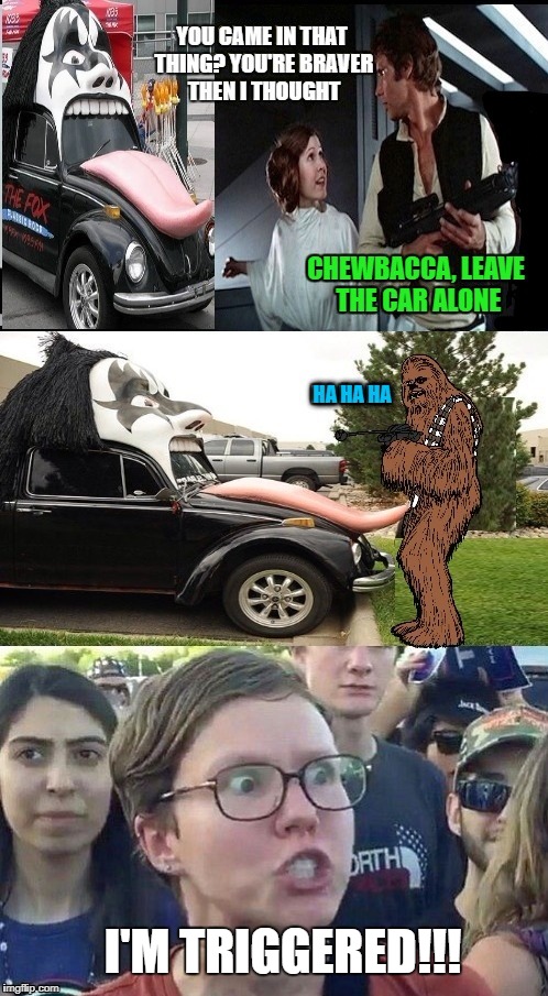 At the feminist rally | I'M TRIGGERED!!! | image tagged in funny memes,han  chewie,kiss,gene simmons,angry feminist | made w/ Imgflip meme maker