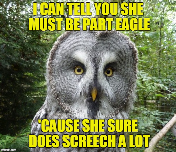 I CAN TELL YOU SHE MUST BE PART EAGLE 'CAUSE SHE SURE DOES SCREECH A LOT | made w/ Imgflip meme maker
