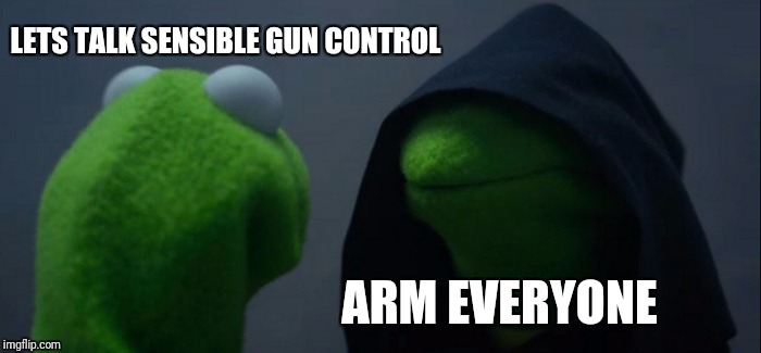 Evil Kermit Meme | LETS TALK SENSIBLE GUN CONTROL ARM EVERYONE | image tagged in memes,evil kermit | made w/ Imgflip meme maker